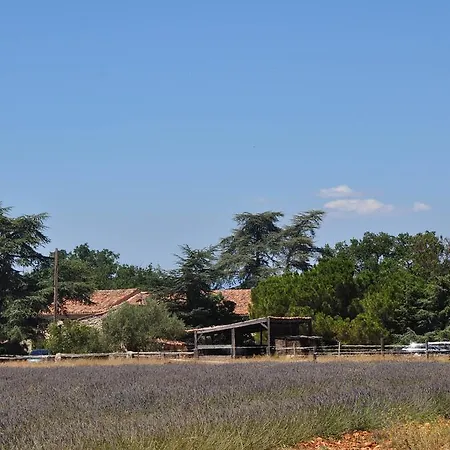 De La Cherine Quinson